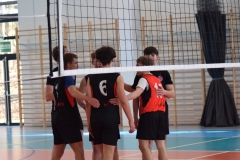 image_041