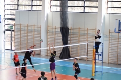 image_087