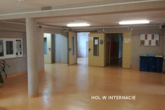 hol_003